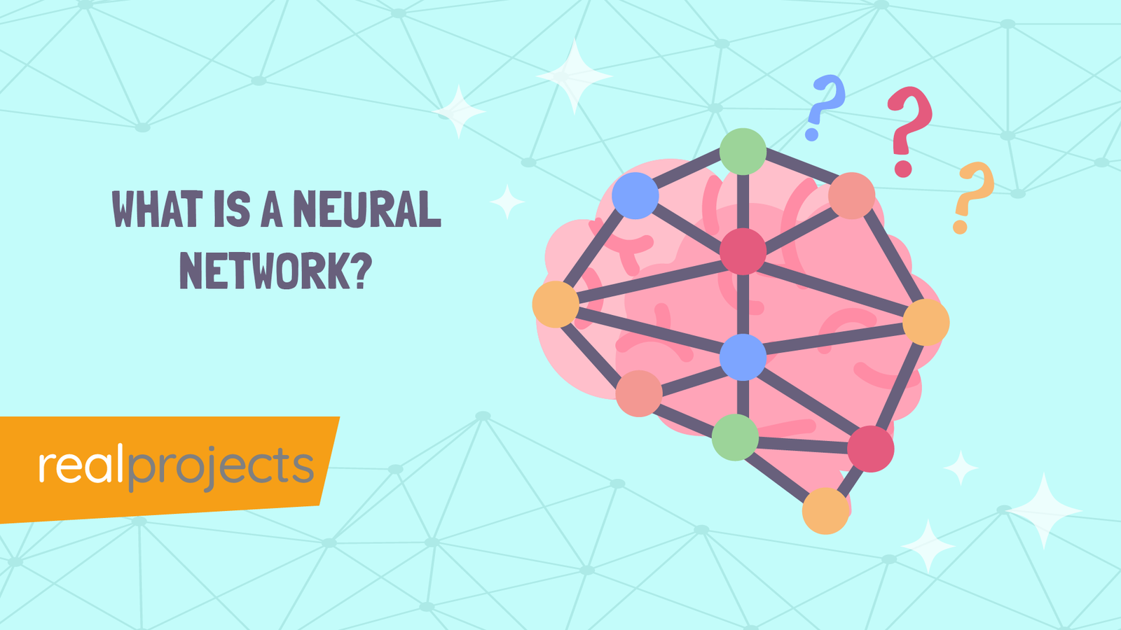 What is a Neural Network?